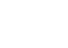 OVER OWL